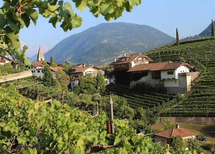 Weingut Eberlehof
