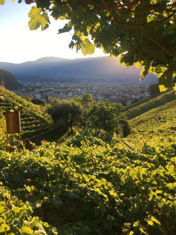 Apartment Weingut Eberlehof *
